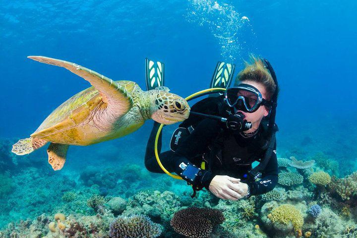 Buzo nadando junto a una tortuga marina sobre arrecifes de coral