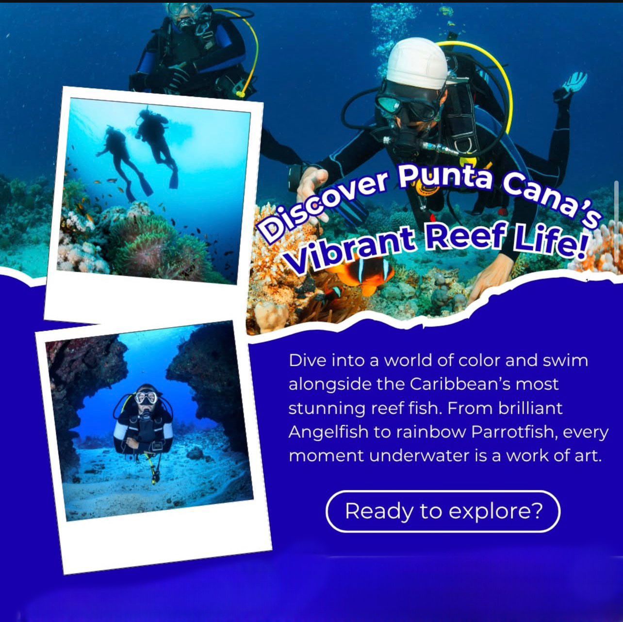 Vida marina en el arrecife